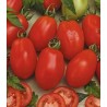 Seminte de tomate Rio Grande
