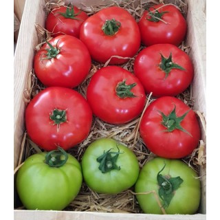 Seminte de tomate Lagos F1, 100 seminte