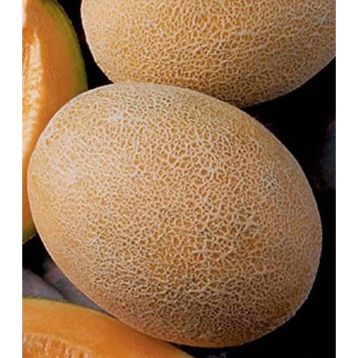 Seminte de pepeni galbeni Ananas