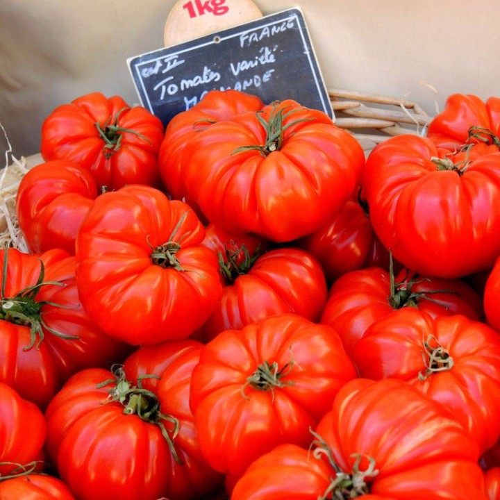 seminte de tomate Delizia F1