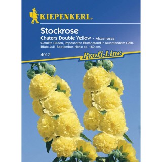 Nalba Chaters Double Yellow (30 seminte)
