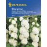 Seminte de nalba alba Chaters Double White