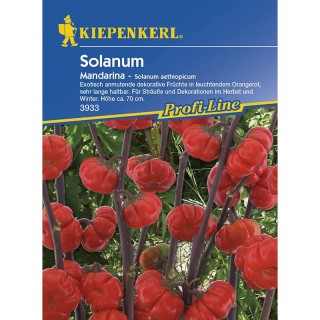 Seminte de Solanum Mandarina