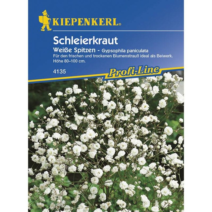 seminte de Gypsophila paniculata, 25 seminte