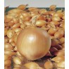 Arpagic Hercules F1, sac 20 kilograme