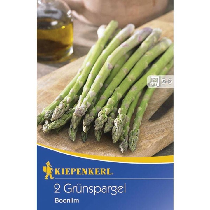 Asparagus verde Boonlim (2 radacini)