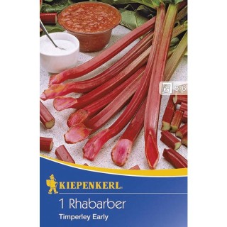 Rubarba Timperley Early (1 radacina)