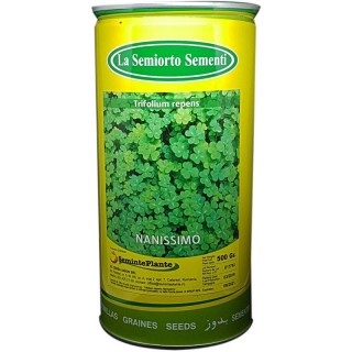 Seminte de trifoi alb Nanissimo, 500 grame