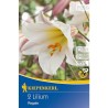 Crin imperial Regale - 2 bulbi