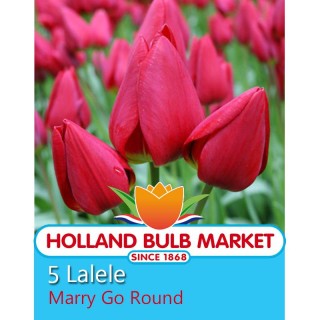 Lalele Merry Go Round - 5 bulbi