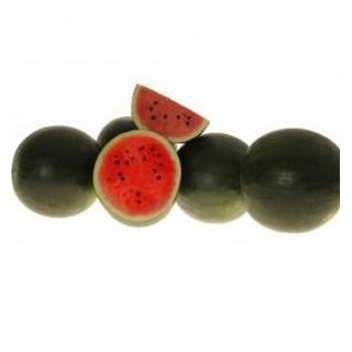 Seminte pepene verde Lantha F1
