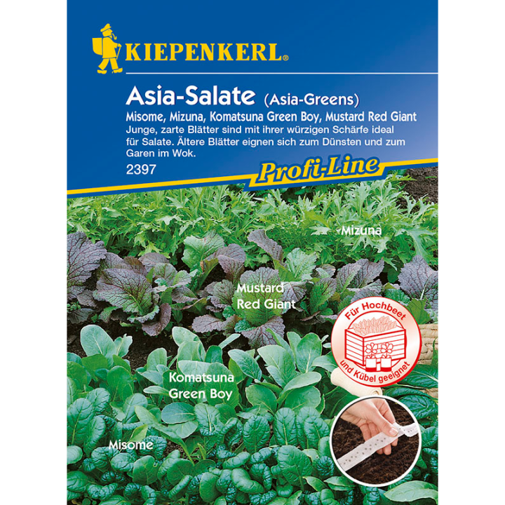 Mix salate din Asia