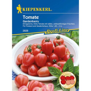 Tomate Gardenberry