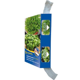 Banda de seminte busuioc si rucola
