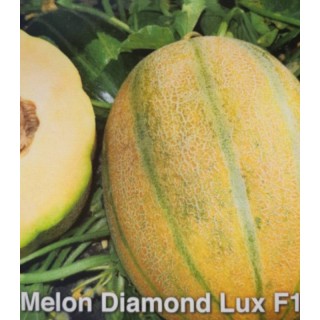 Diamond F1 (5 gr)