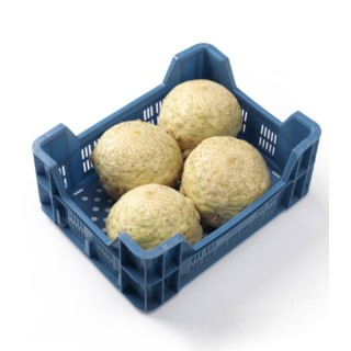 Princino F1 - 10.000 seminte drajate