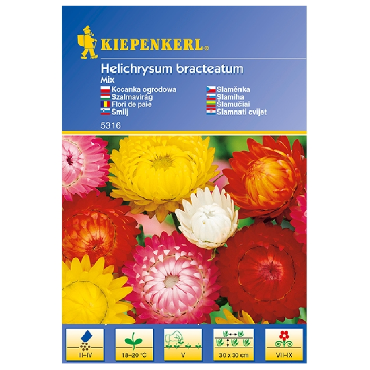 Seminte Helichrysum bracteatum, 50 seminte