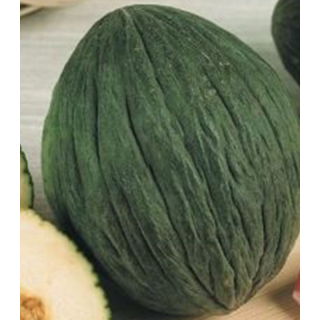 Pepene galben Tendral Verde
