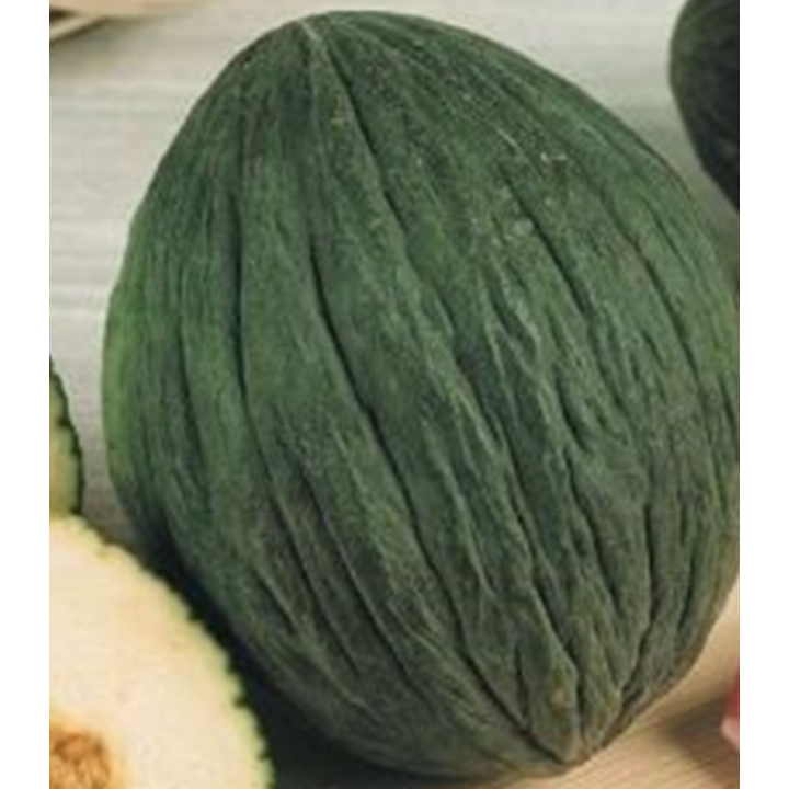 Pepene galben Tendral Verde