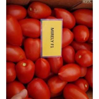 Seminte de tomate Mirely F1