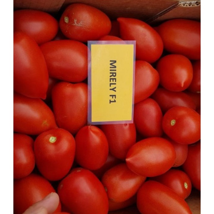 Seminte de tomate Mirely F1