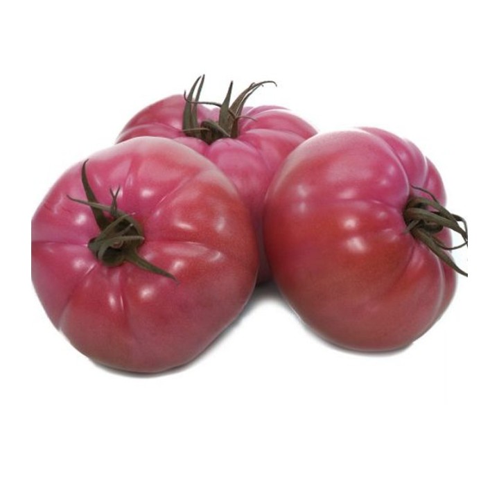 seminte de tomate roz Gusto Pink F1