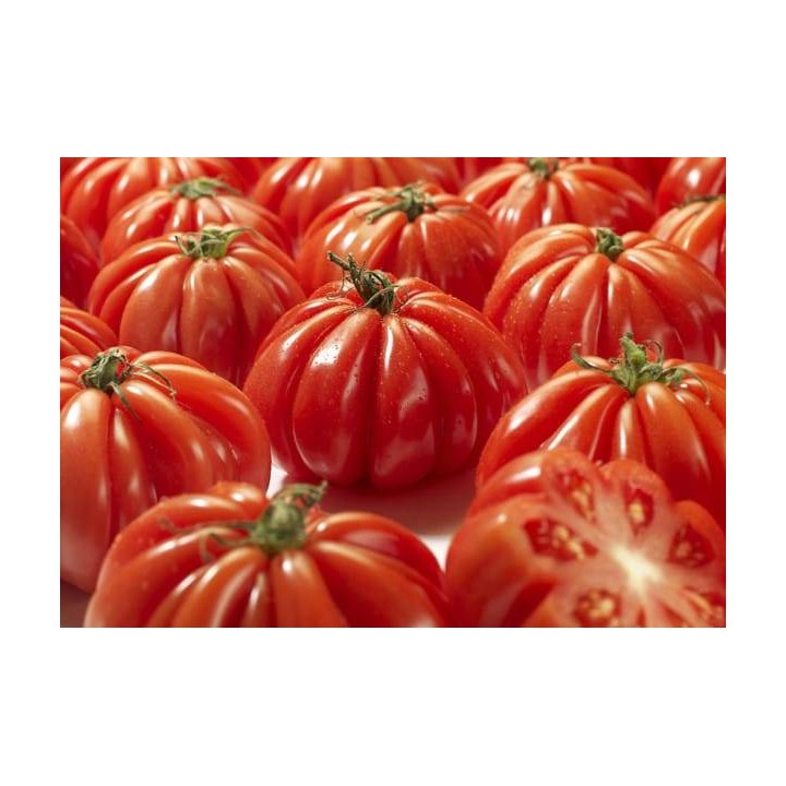 Seminte de tomate Corazon F1
