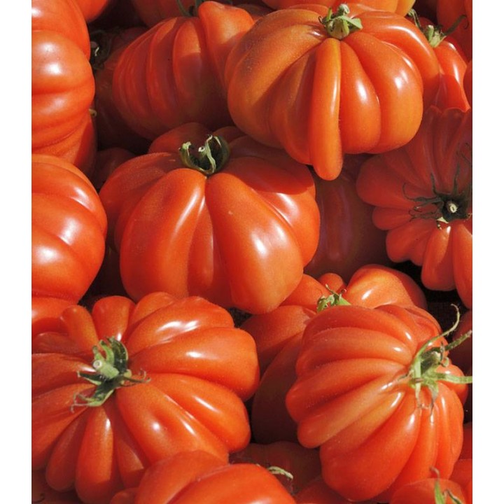 Seminte de tomate Corazon F1