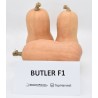 Dovleac Butler F1