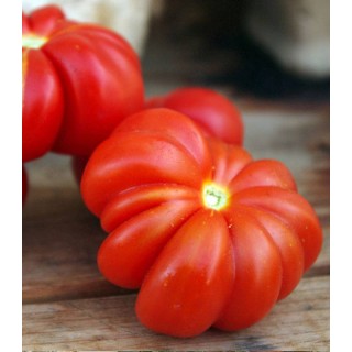 Seminte tomate Corleonese