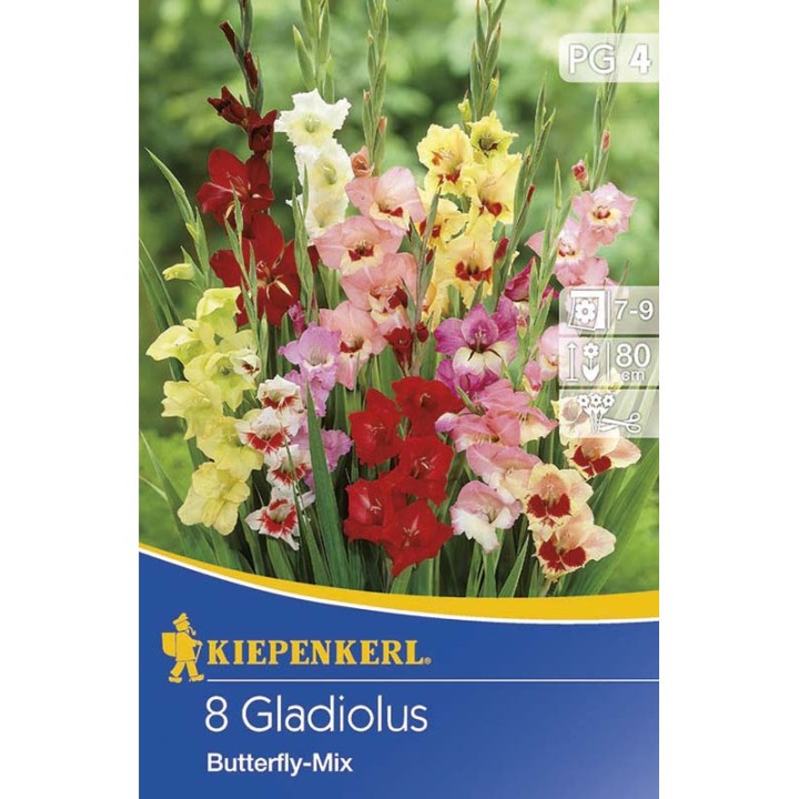 Gladiole Butterfly Mix - 8 bulbi