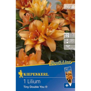 Crini Tiny Double You - 1 bulb