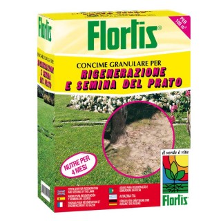 Ingrasamant Gazon nou si regenerare, 2 kilograme