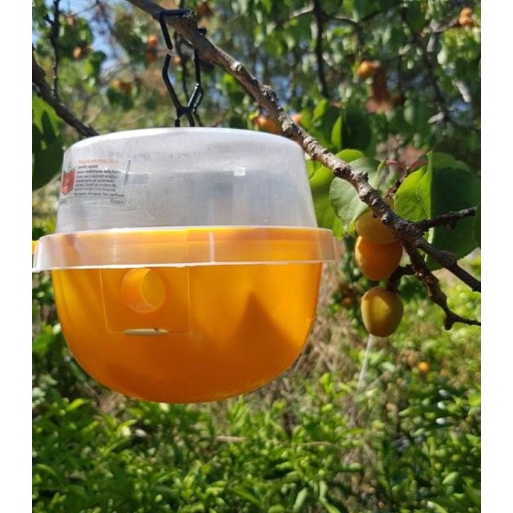 Capcana Decis Trap pentru combaterea mustei cireselor