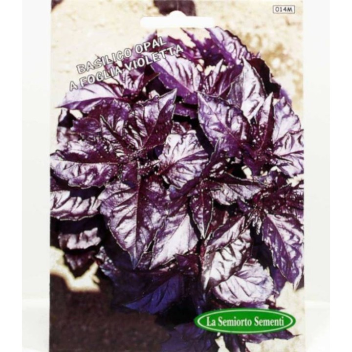 Busuioc a foglia violetta (busioc rosu) - 5 gr