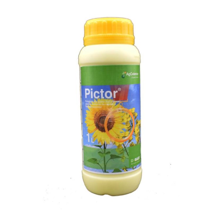 Fungicid Pictor - 1 litru