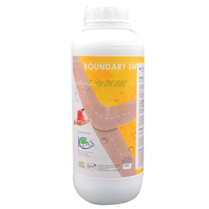 Boundary SW (1 litru)
