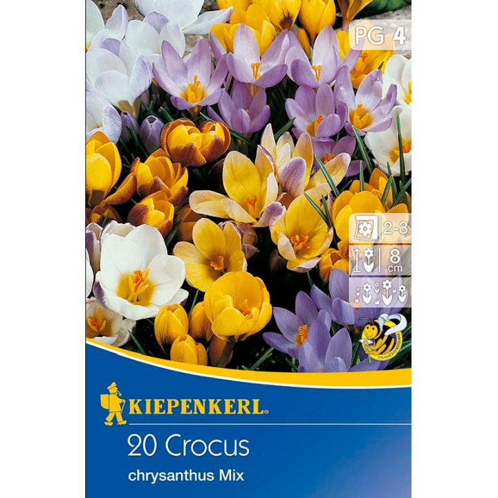 Crocus Botanical Mix - 20 bulbi