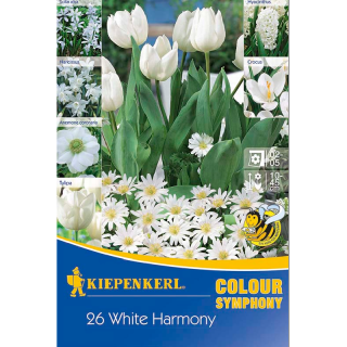 Amestec bulbi, White Harmony - 26 bulbi