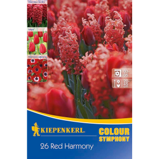 Amestec bulbi, Red Harmony - 26 bulbi