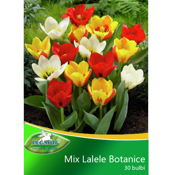 Lalele Botanical Mix