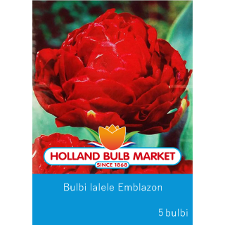 Lalele Emblazon - 5 bulbi