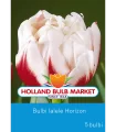 Lalele Horizon - 5 bulbi