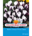 Bulbi Crocus Prins Claus 