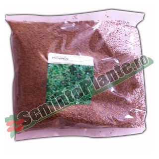 Seminte de Lucerna Pomposa, 1 kilogram