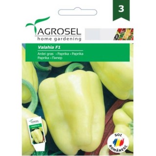 Ardei Valahia F1 ( 15 sem)
