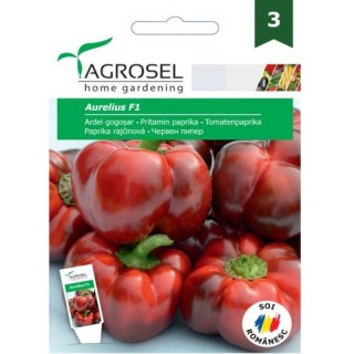 Ardei Aurelius F1 (15 sem)