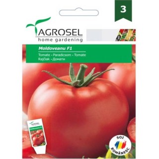 Tomate Moldoveanu F1 (10 sem)