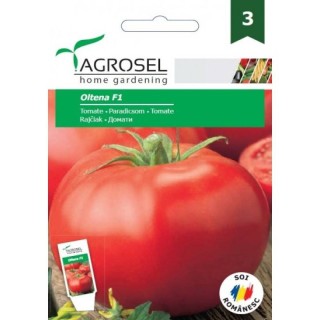 Tomate Oltena F1 (10 sem)