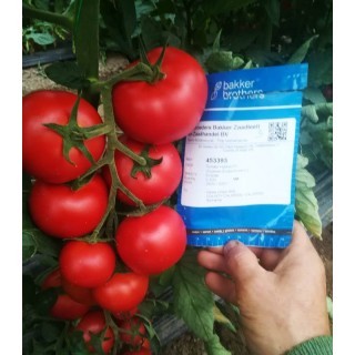 Eclipse F1, diverse ambalari